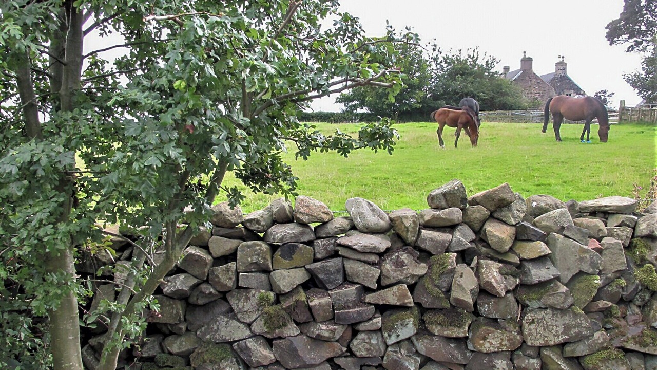 Photo of Others in Gordon