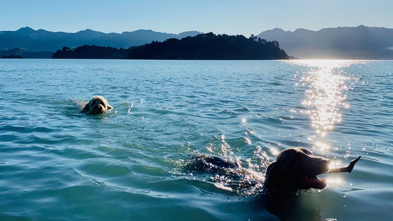 Photo of Others in Diamond Harbour