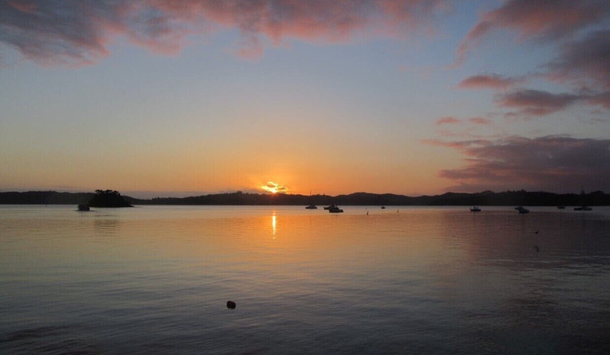 Photo of Others in Paihia