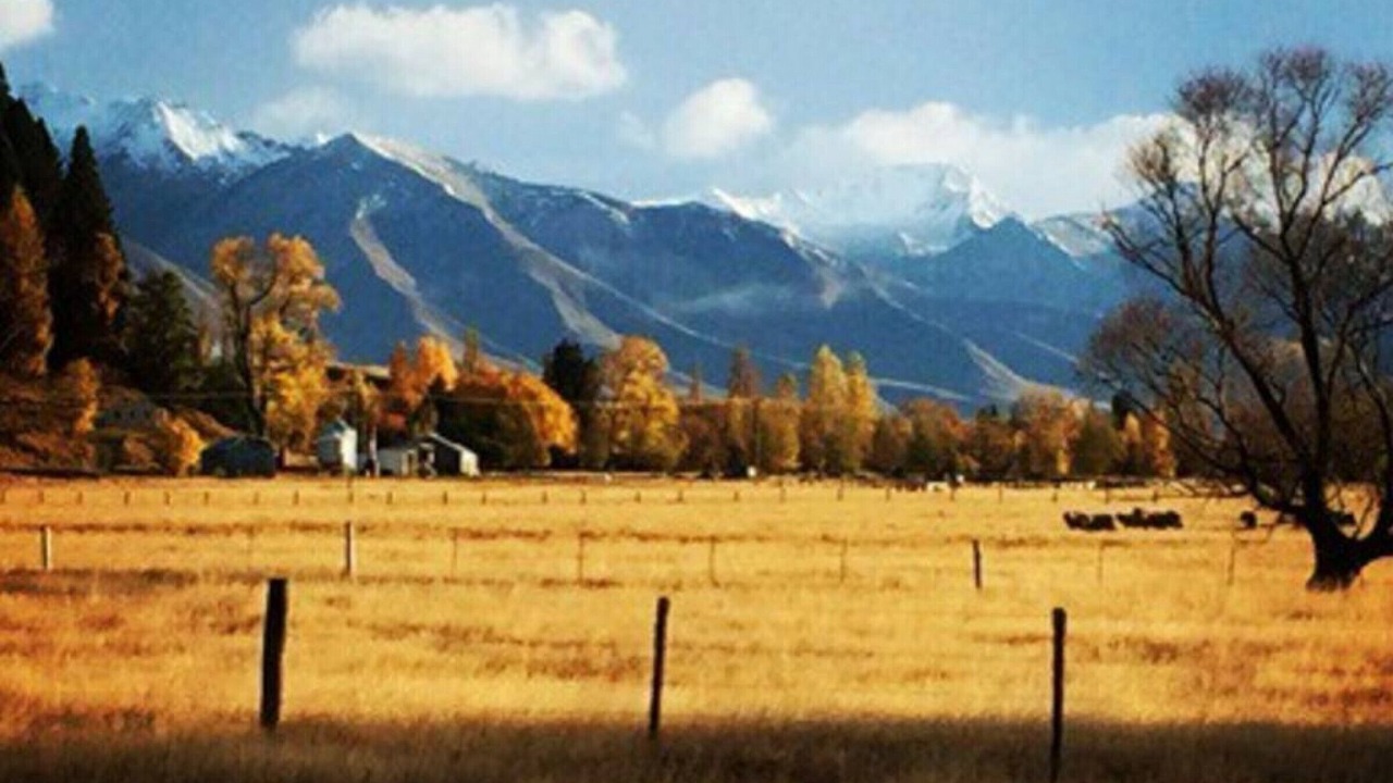 Photo of Others in Twizel