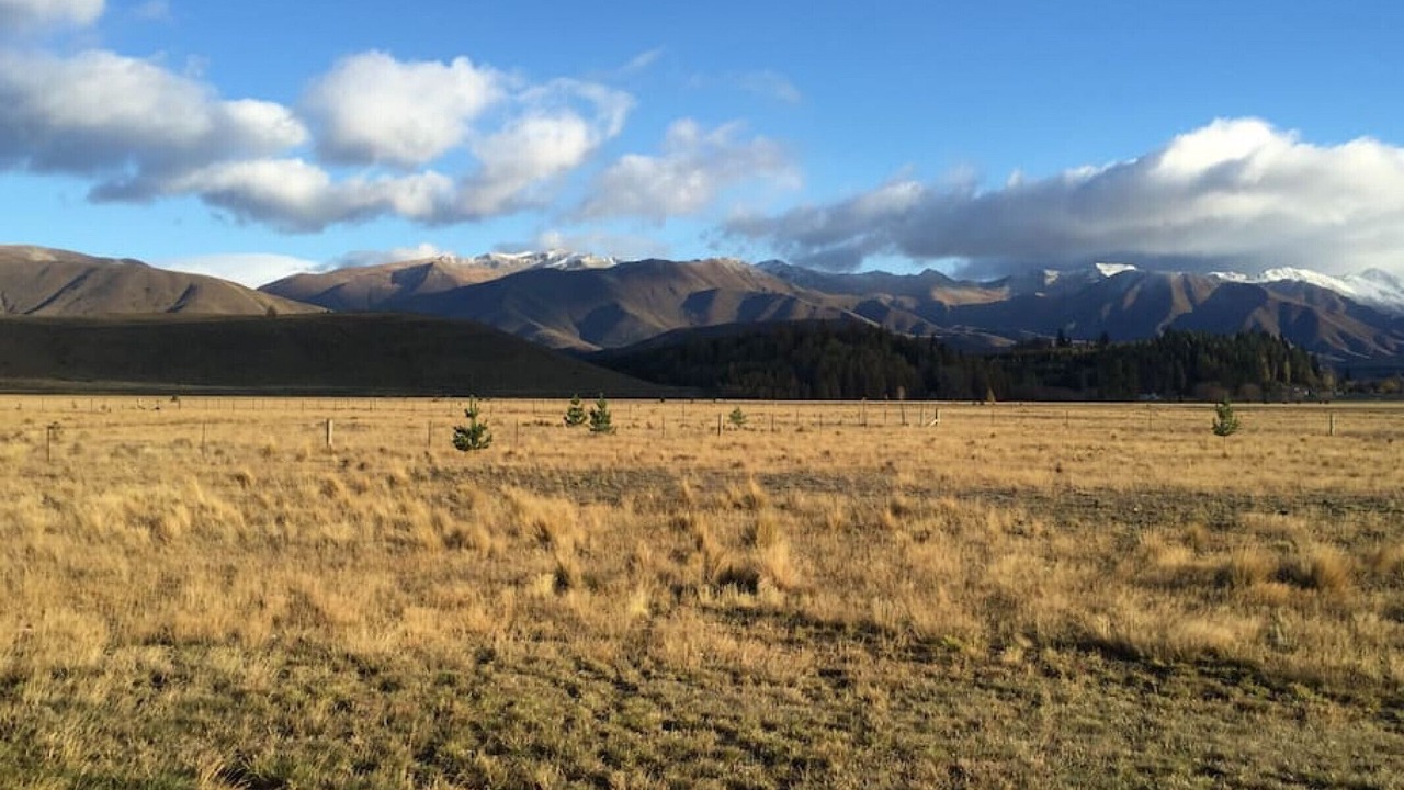 Photo of Others in Ben Ohau