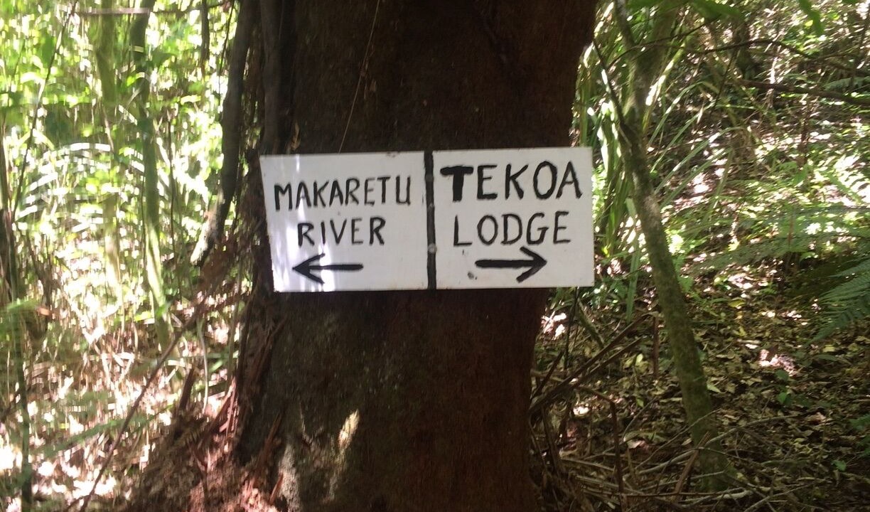 Photo of Outdoor in Raurimu