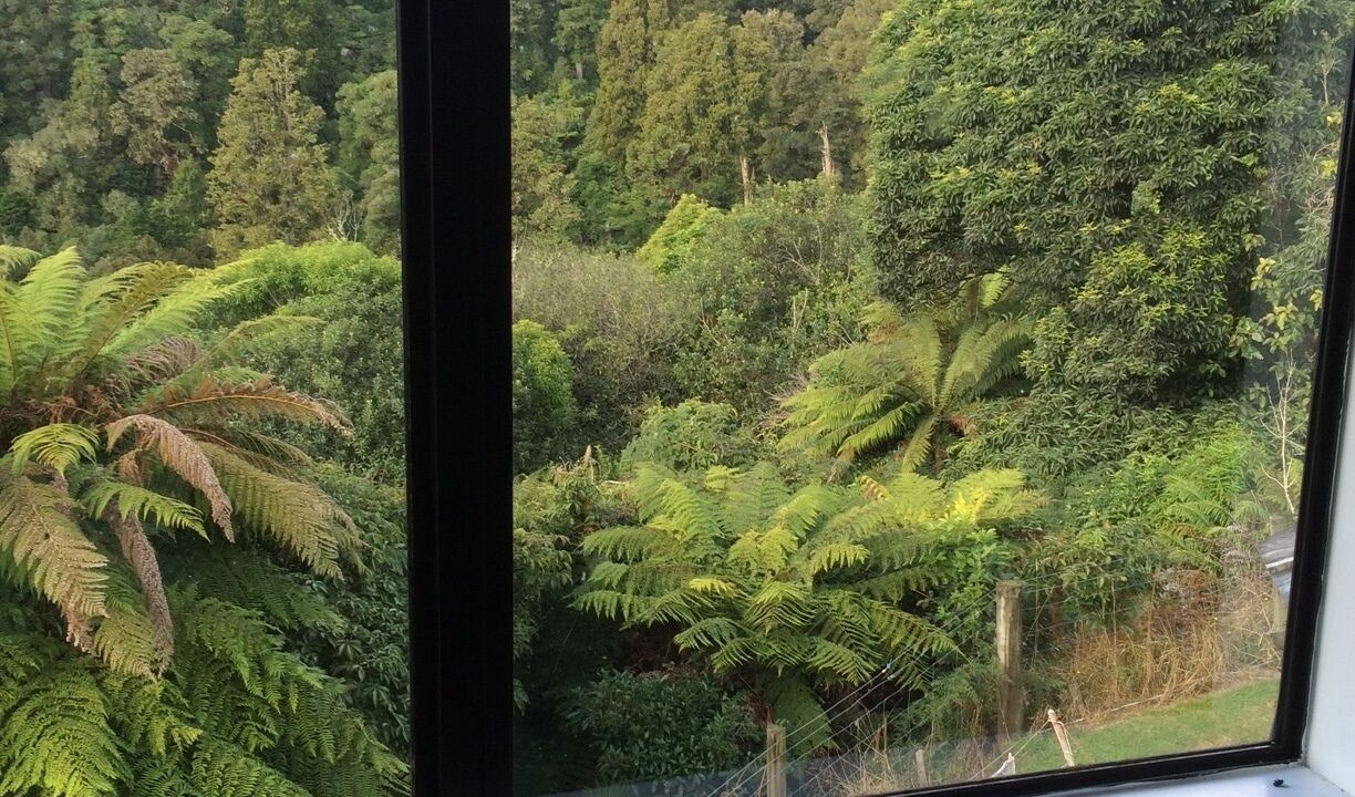 Photo of Others in Raurimu