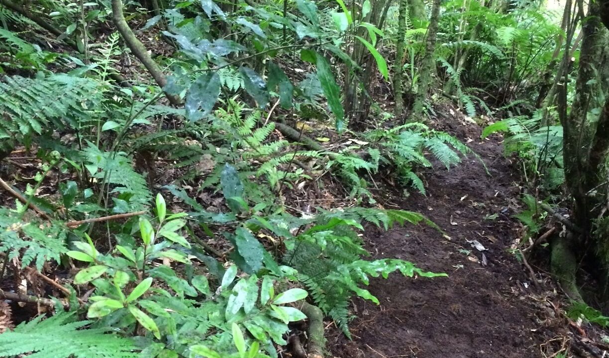 Photo of Outdoor in Raurimu