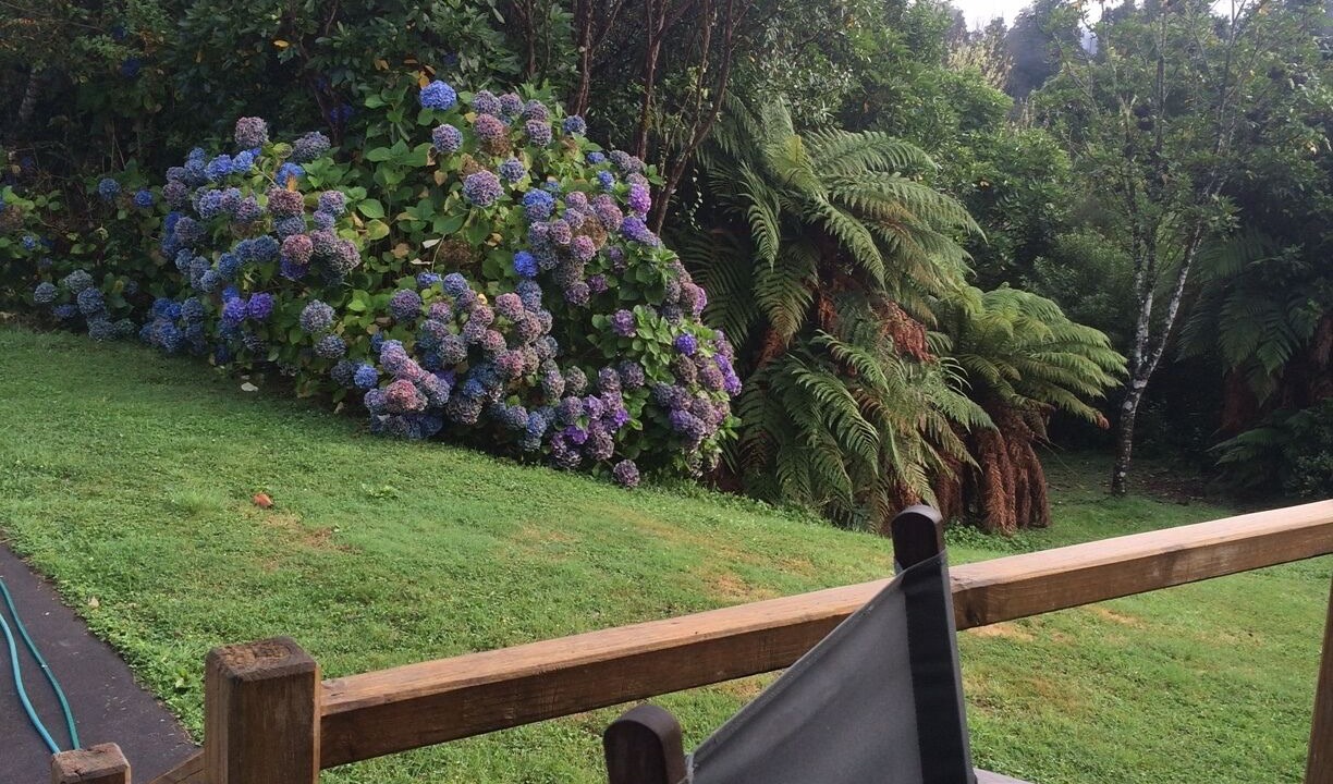 Photo of Patio Balcony in Raurimu