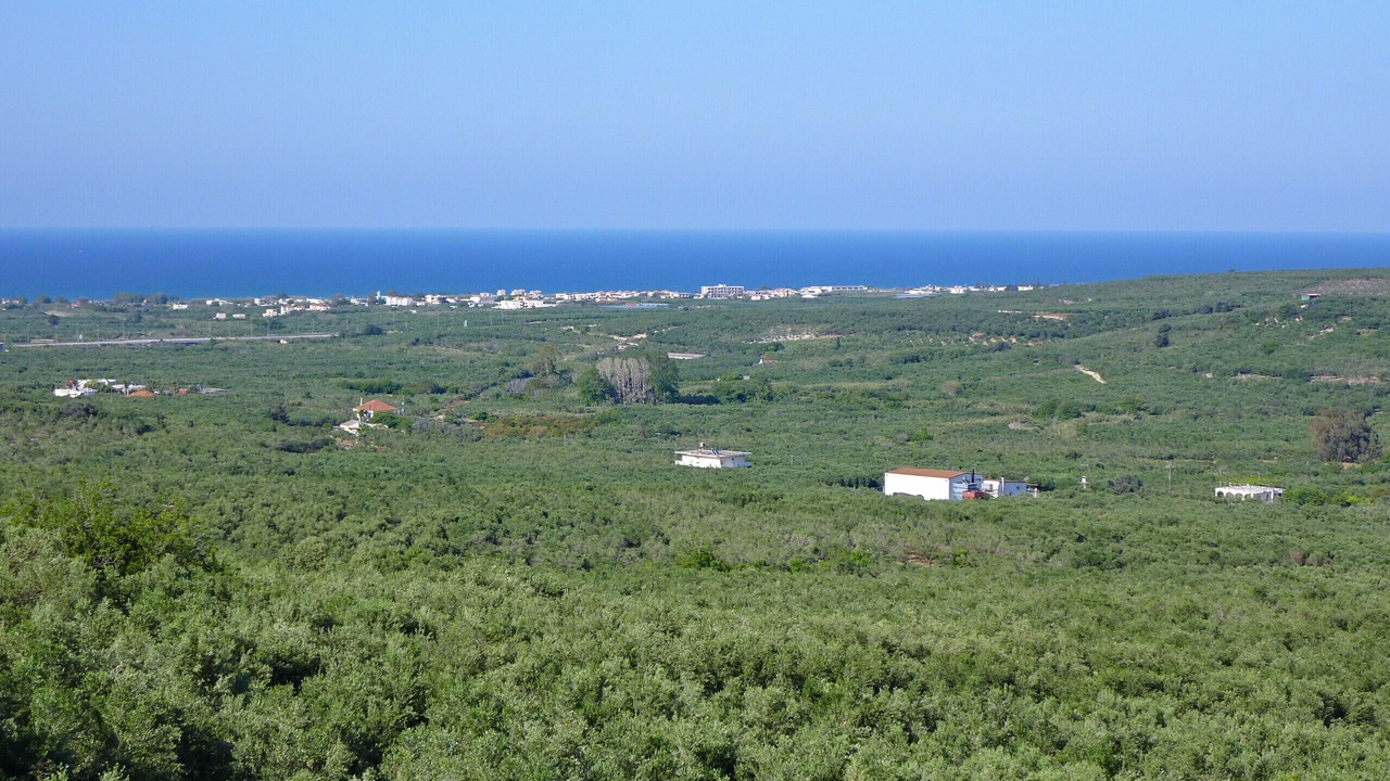 Photo of Others in Kamisiana