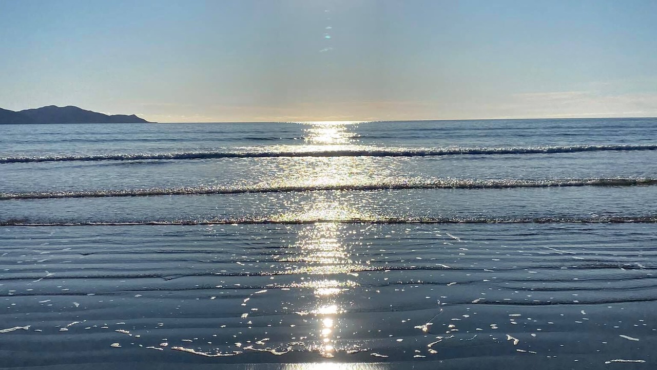 Photo of Others in Waikanae