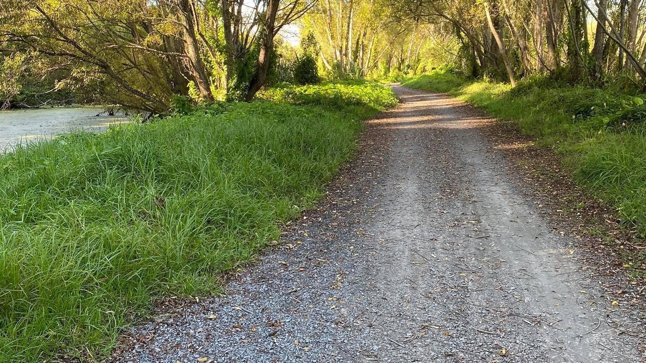 Photo of Outdoor in Waikanae
