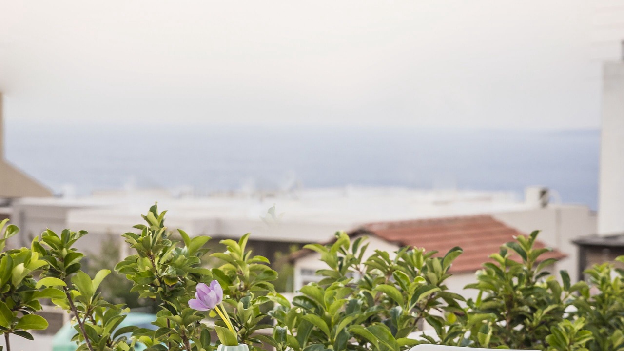 Photo of Outdoor in Vathianos Kampos
