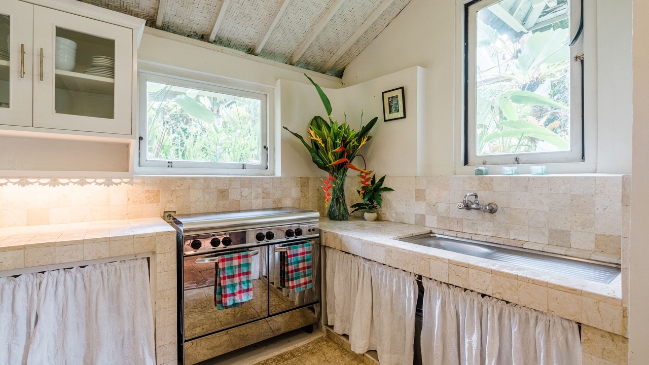 Photo of Kitchen in Ubud City-Centre