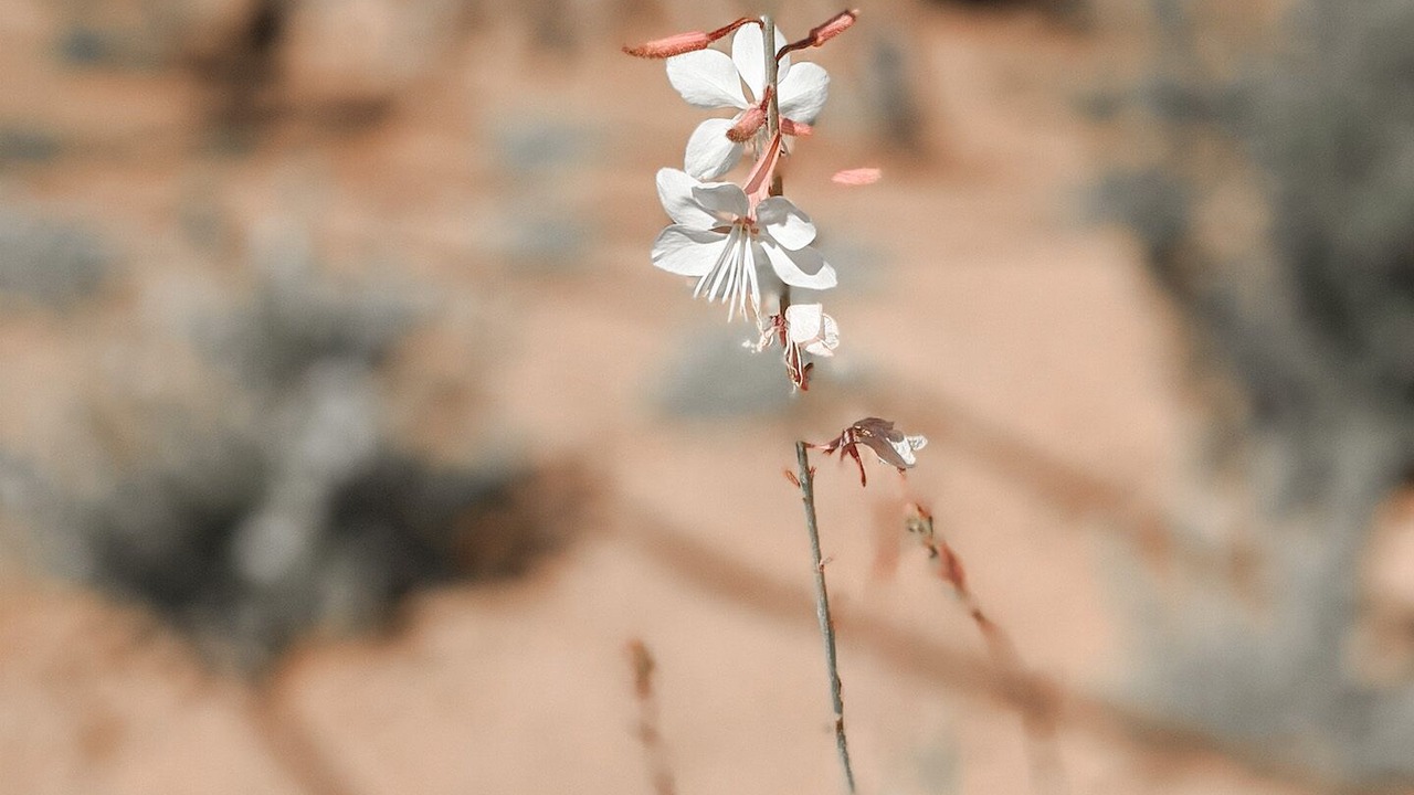 Photo of Outdoor in Mochlos