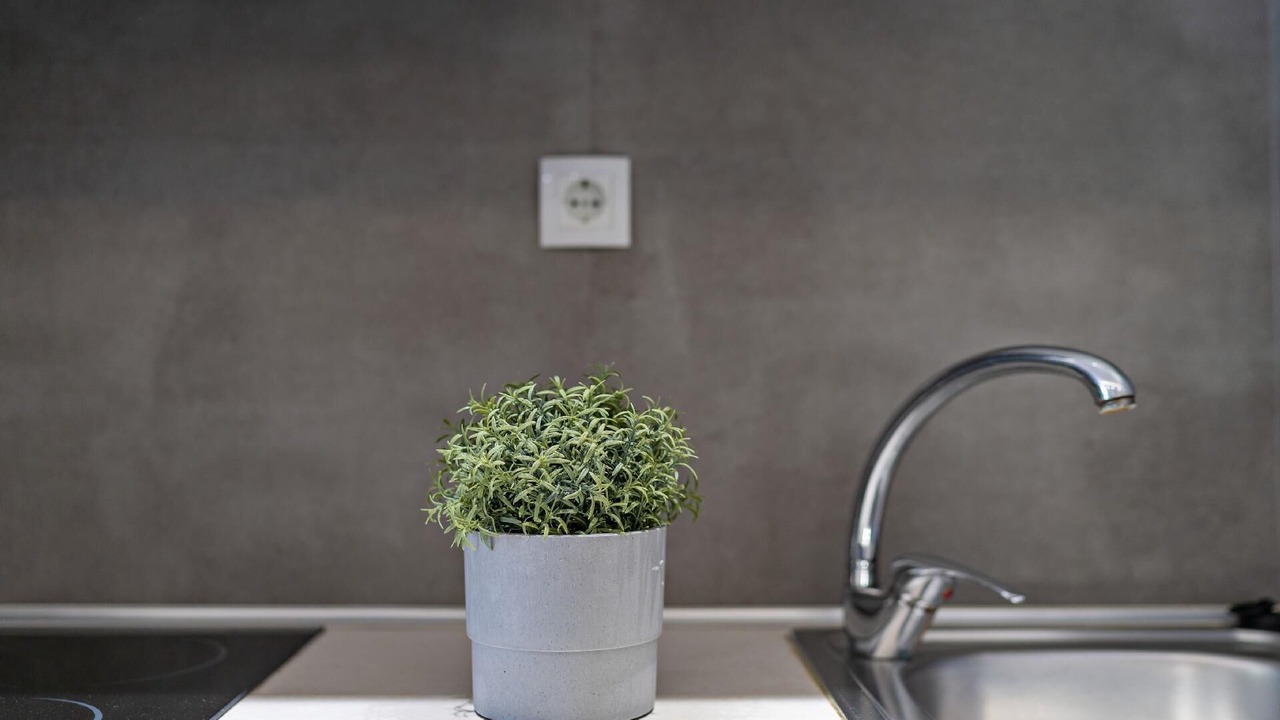 Photo of Others in Panormos