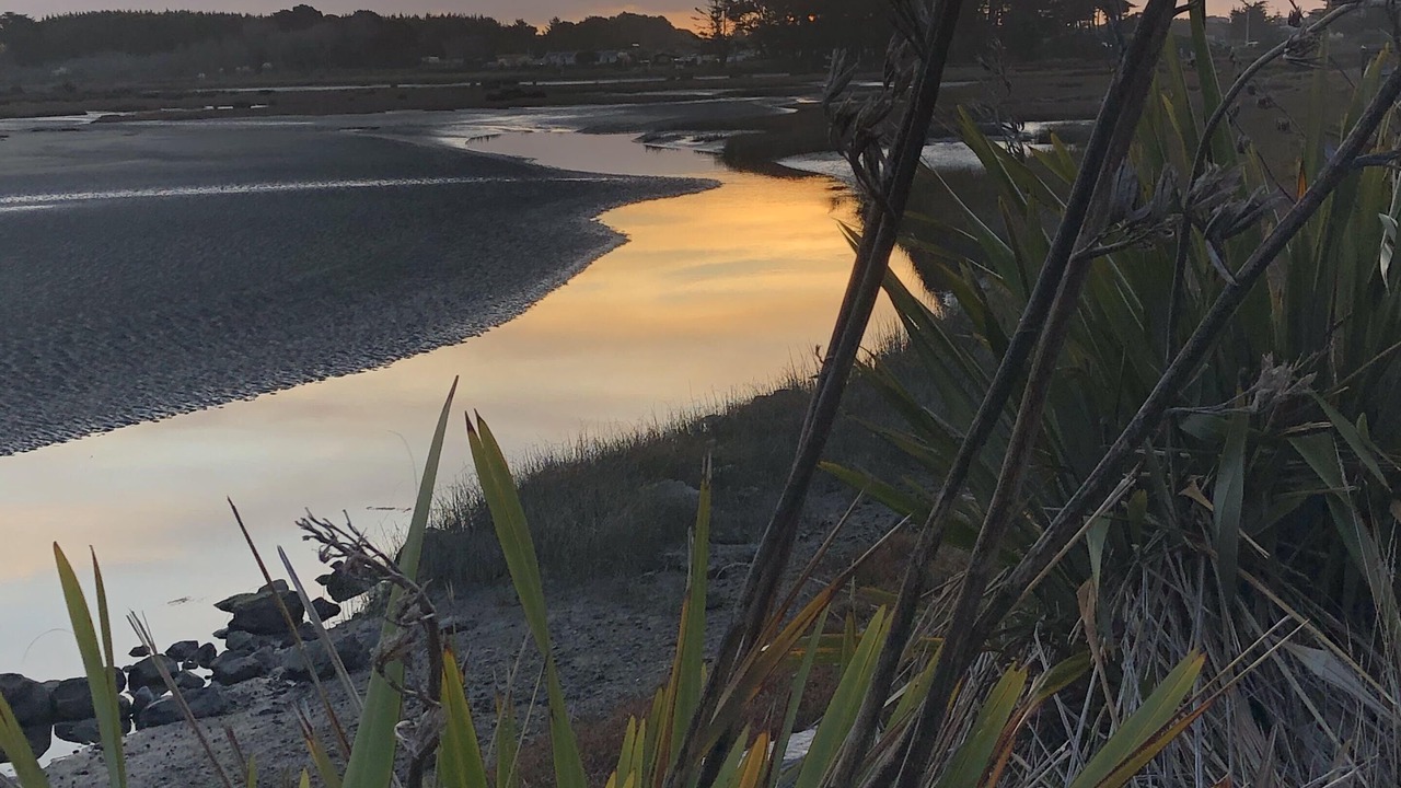 Photo of Others in Foxton Beach