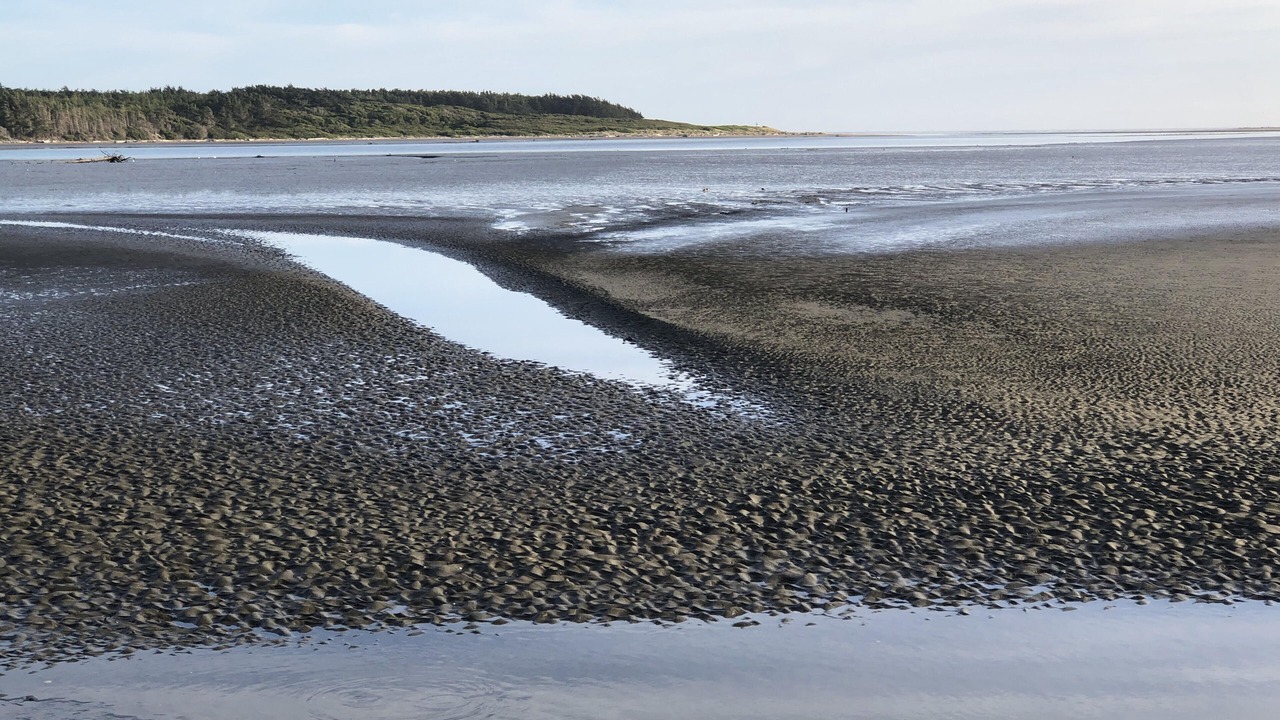 Photo of Others in Foxton Beach