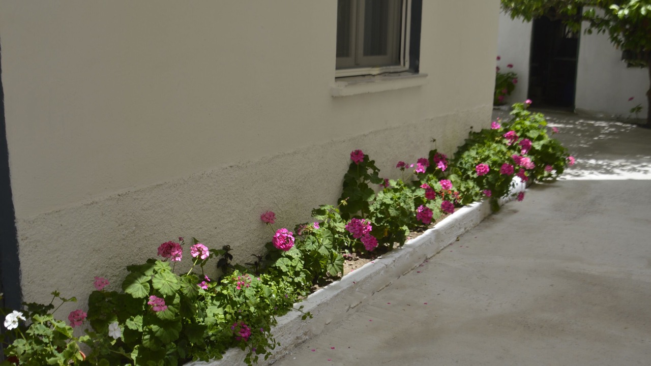Photo of Outdoor in Archanes-Asterousia