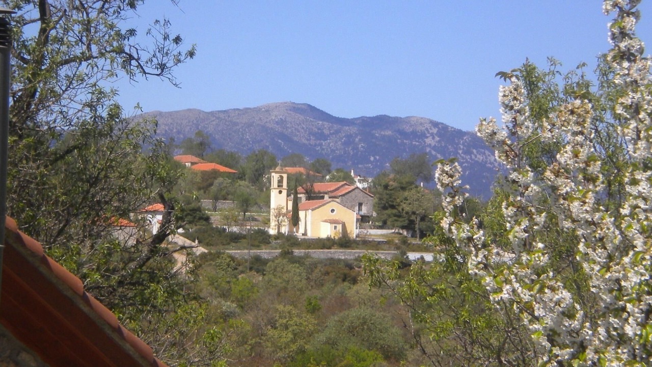 Photo of Others in Fokiano