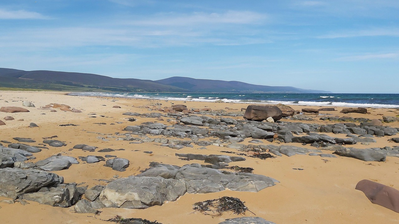 Photo of Others in Brora