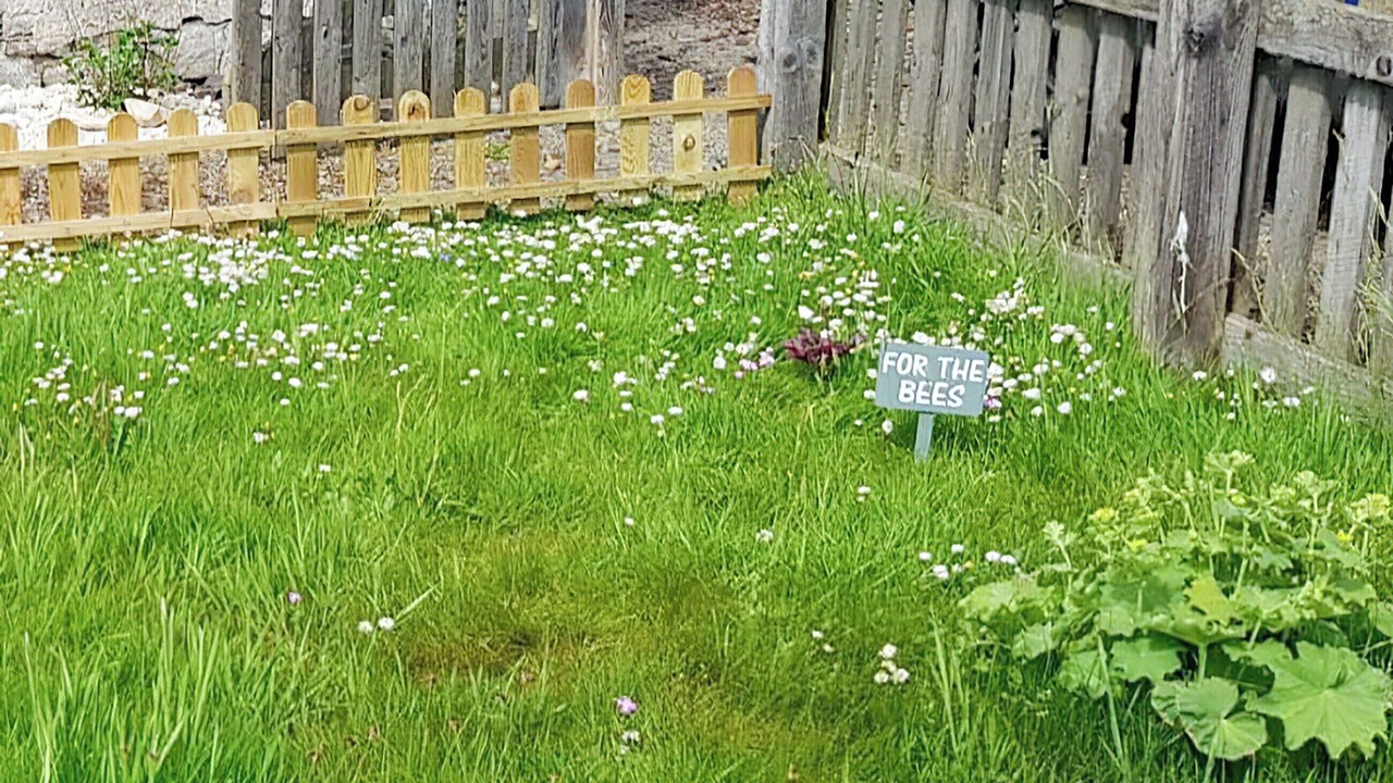 Photo of Outdoor in Brora
