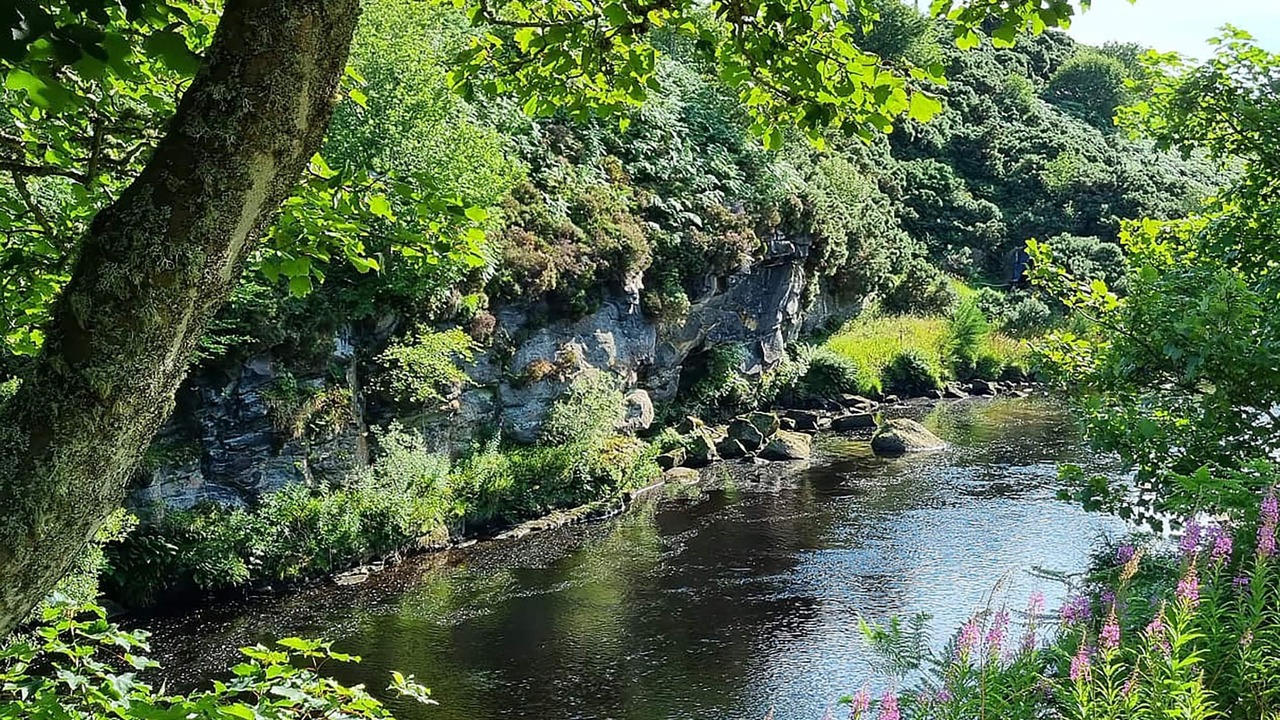 Photo of Others in Brora