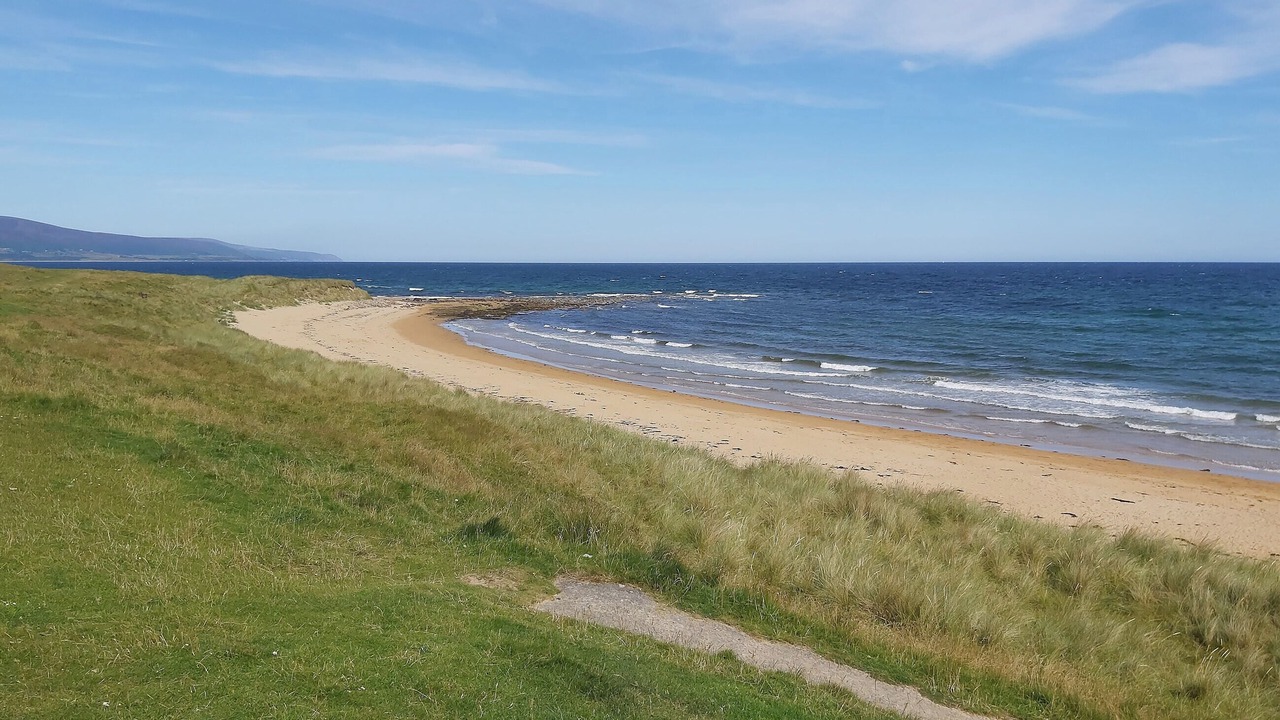 Photo of Others in Brora