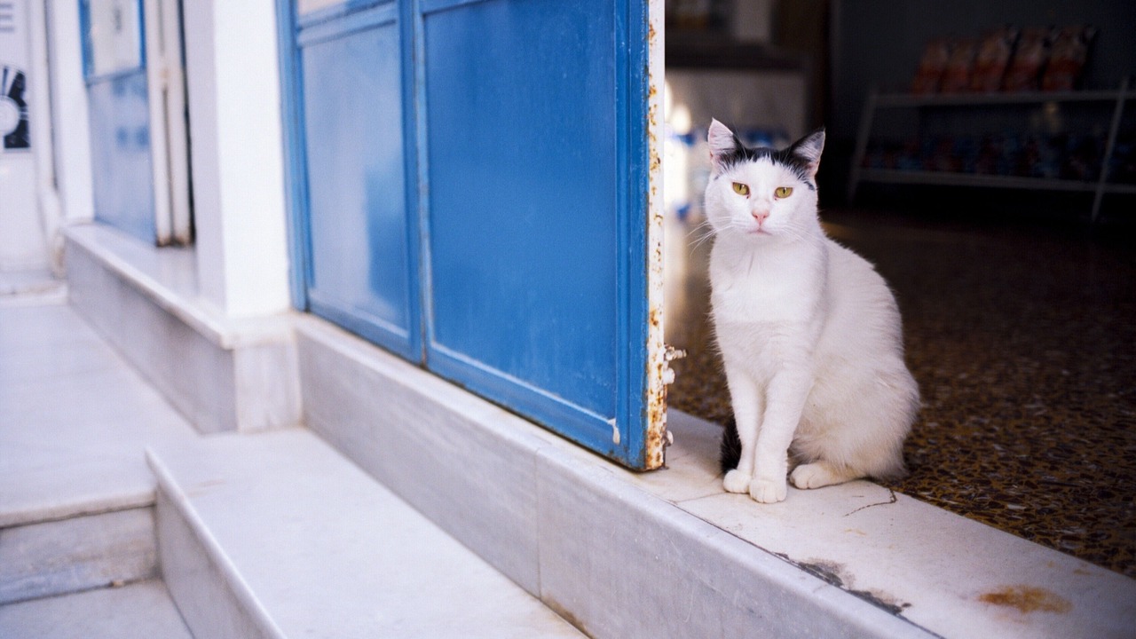 Photo of Others in Lourdata