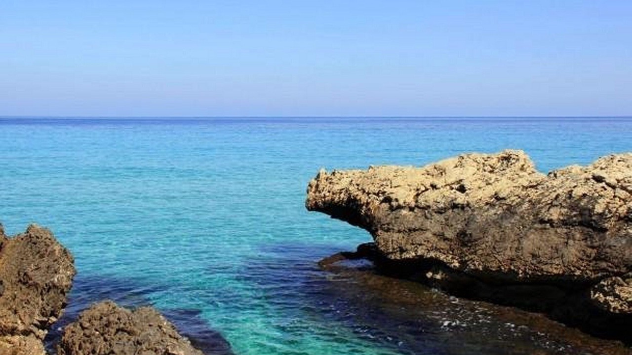 Photo of Others in Addaura