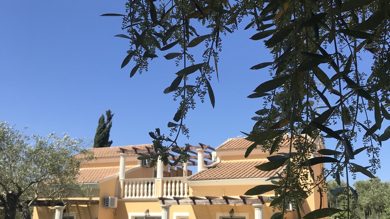 Photo of Outdoor in Roda