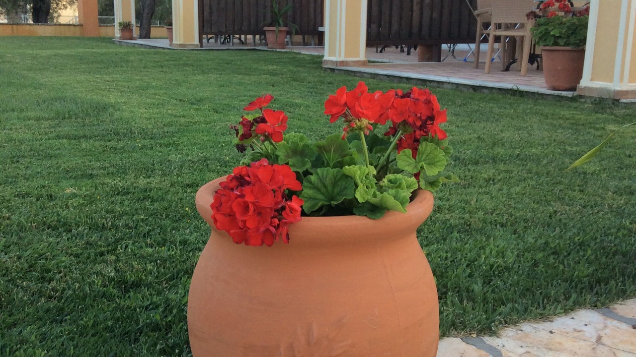 Photo of Outdoor in Roda