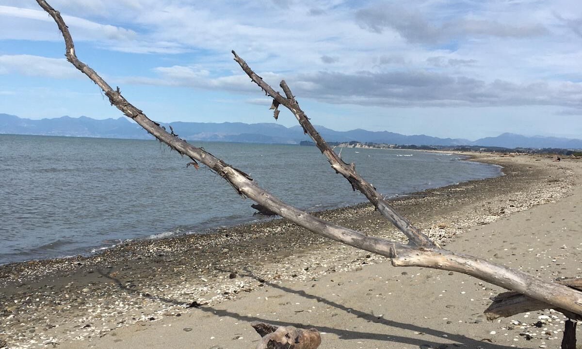 Photo of Others in Motueka