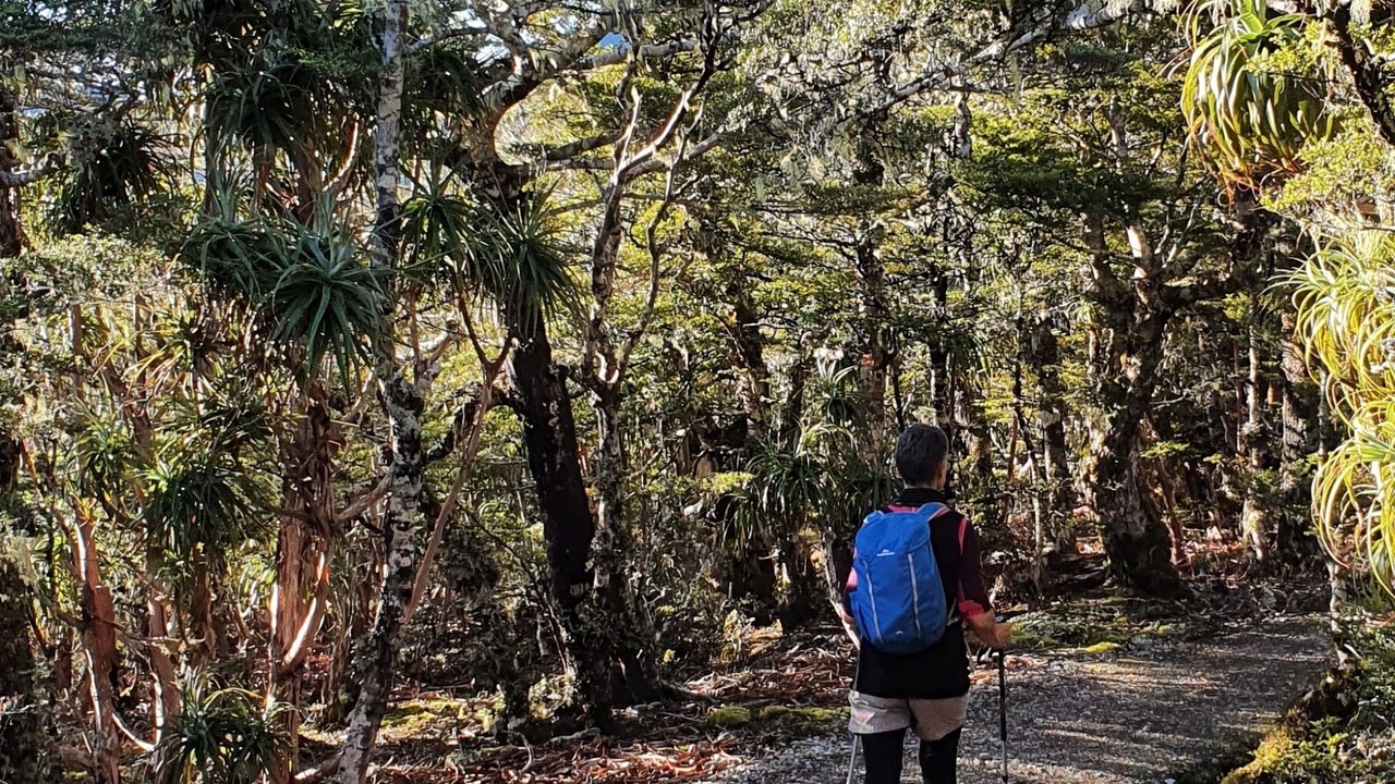 Photo of Outdoor in Motueka