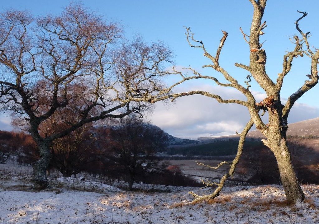 Photo of Others in Braemar