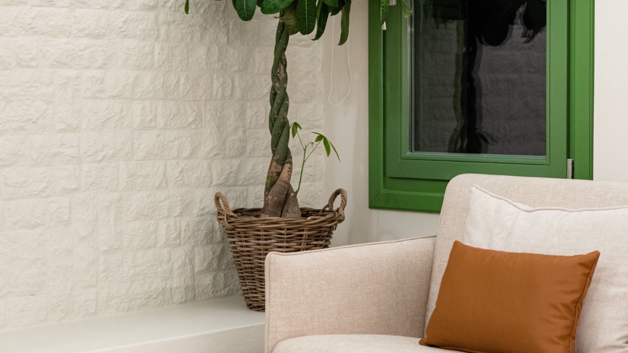 Photo of Livingroom in Andros Town