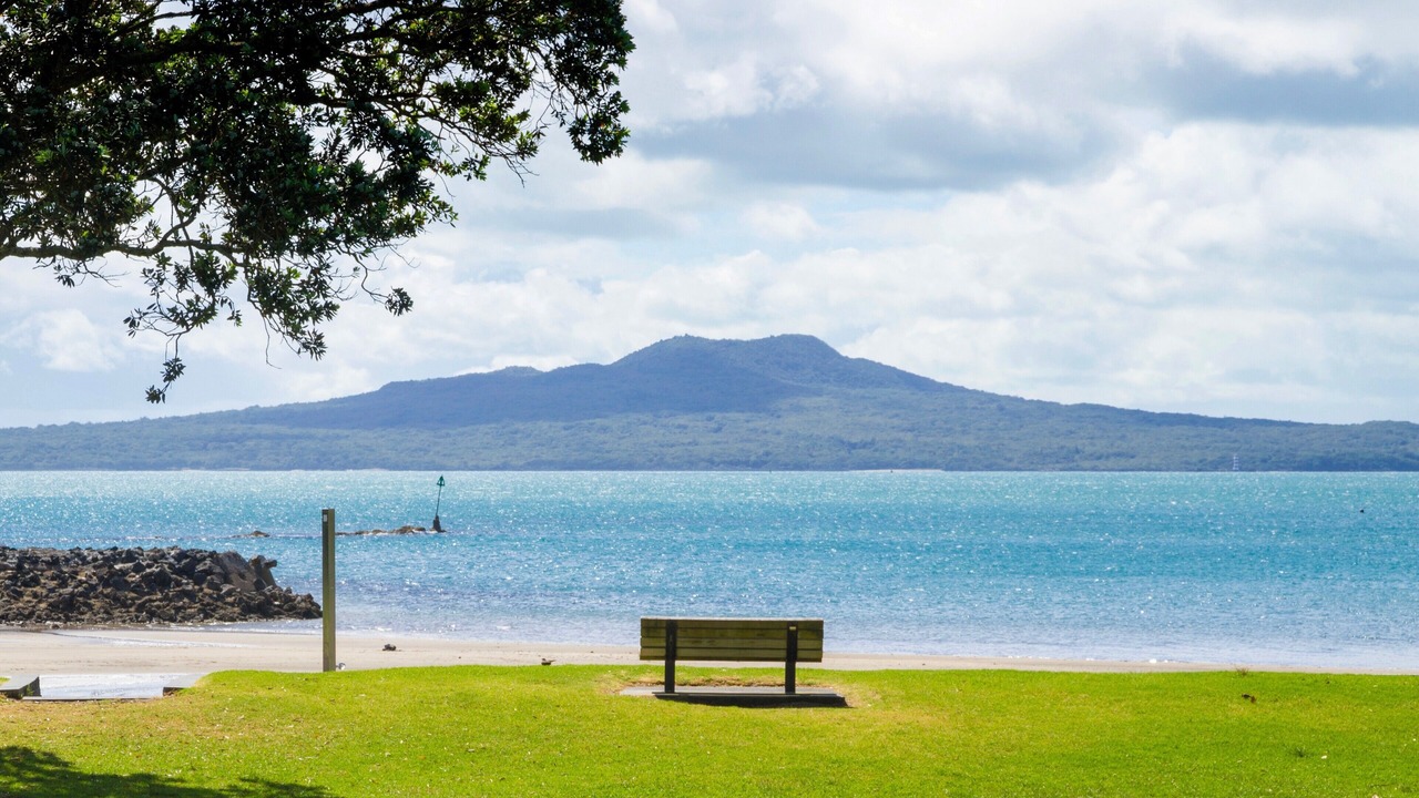 Photo of Others in Castor Bay