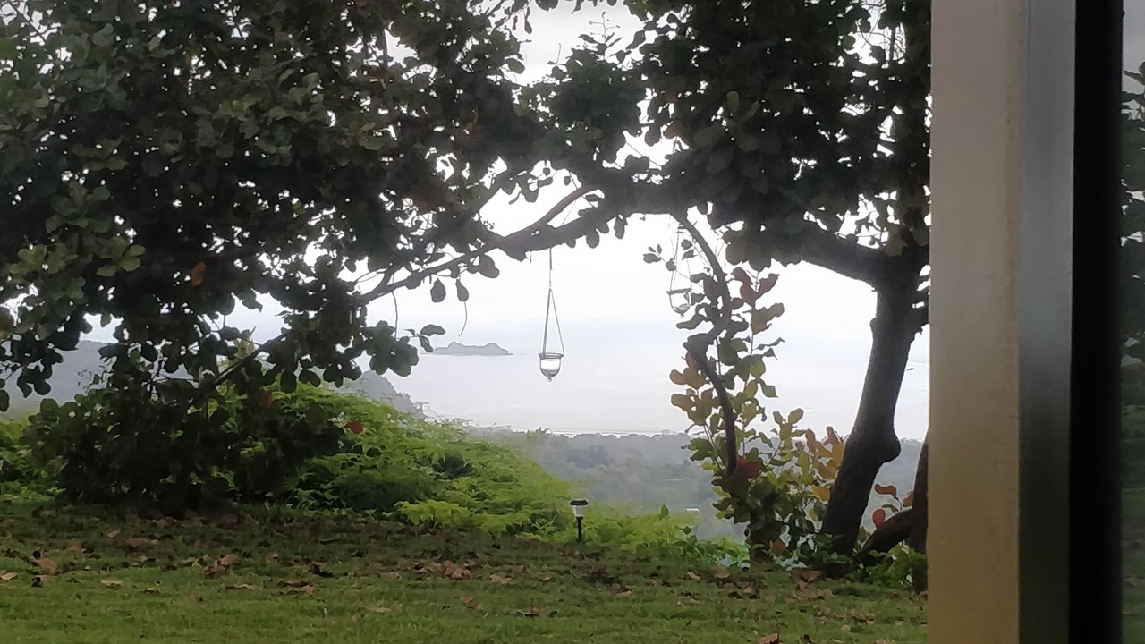 Photo of Outdoor in Ballena