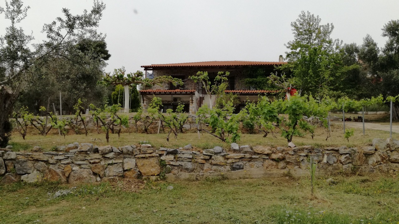 Photo of Outdoor in Dirfys-Messapia