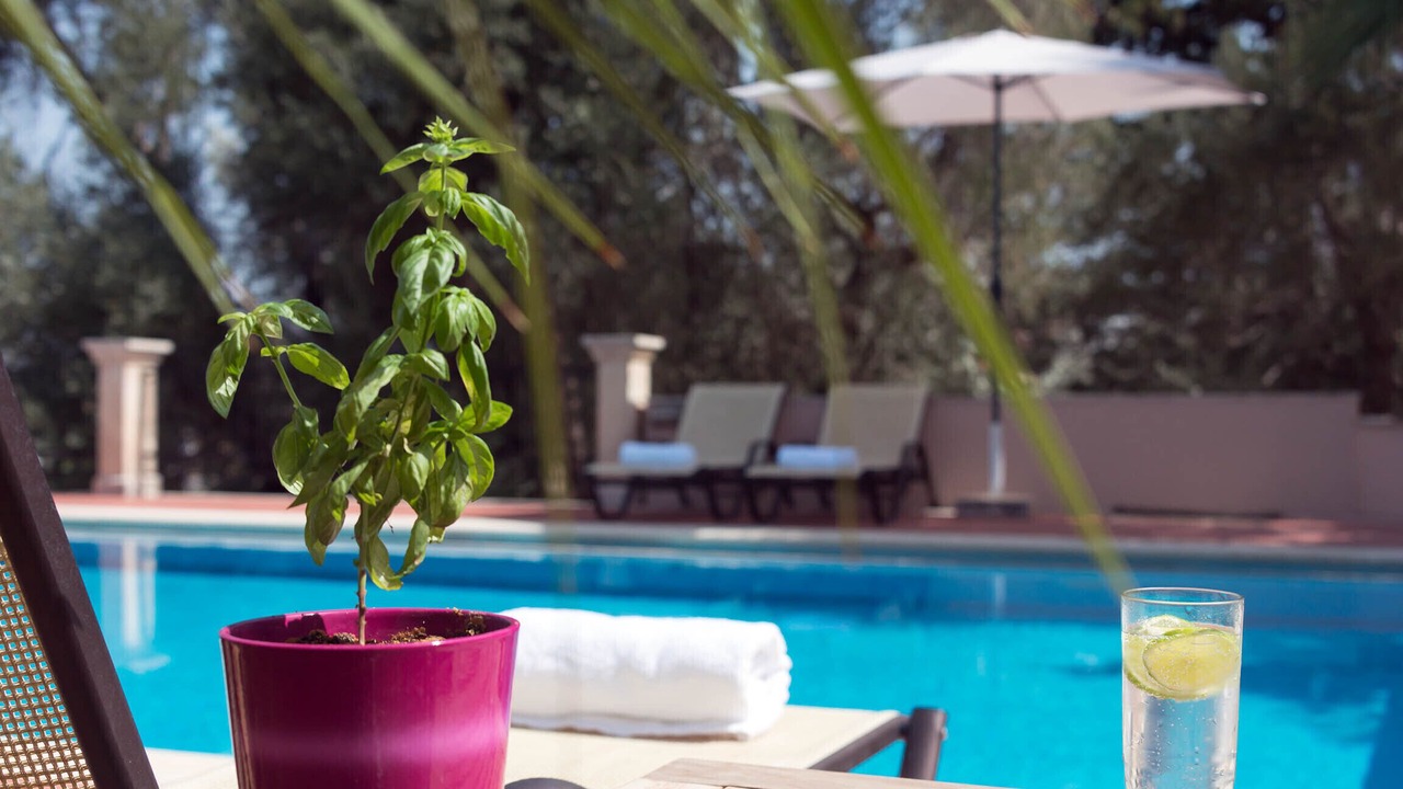 Photo of Outdoor in Margarites