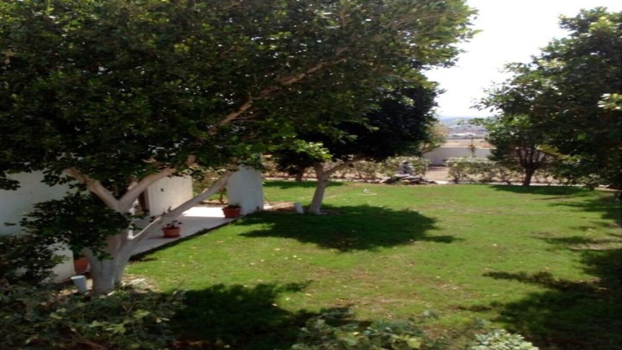 Photo of Outdoor in Adamas
