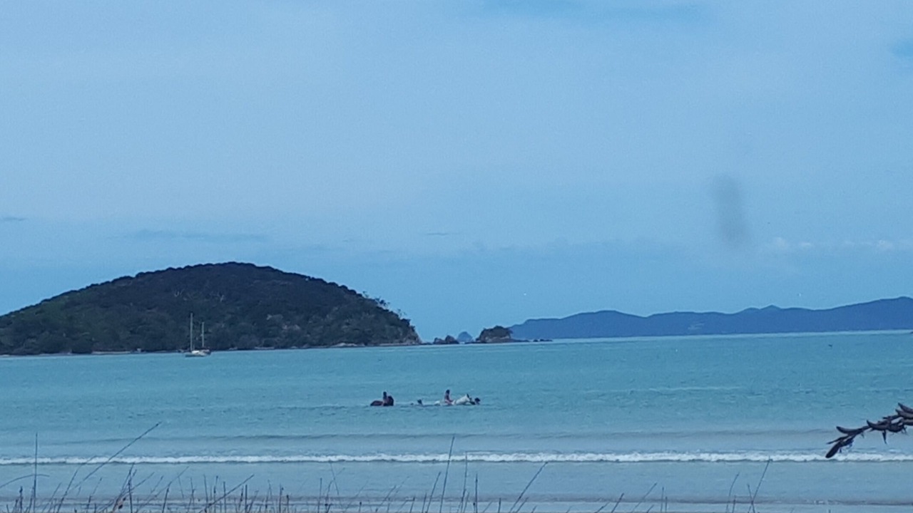 Photo of Others in Karkari Peninsula