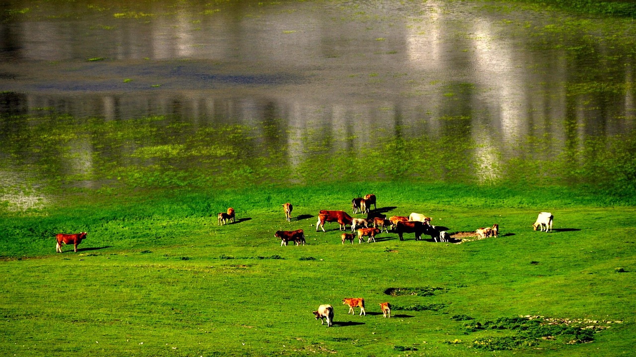 Photo of Others in Ano Pedina
