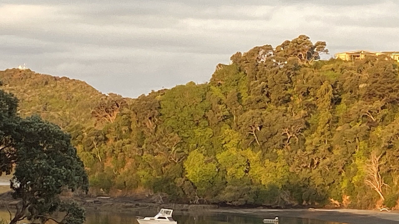Photo of Outdoor in Tutukaka