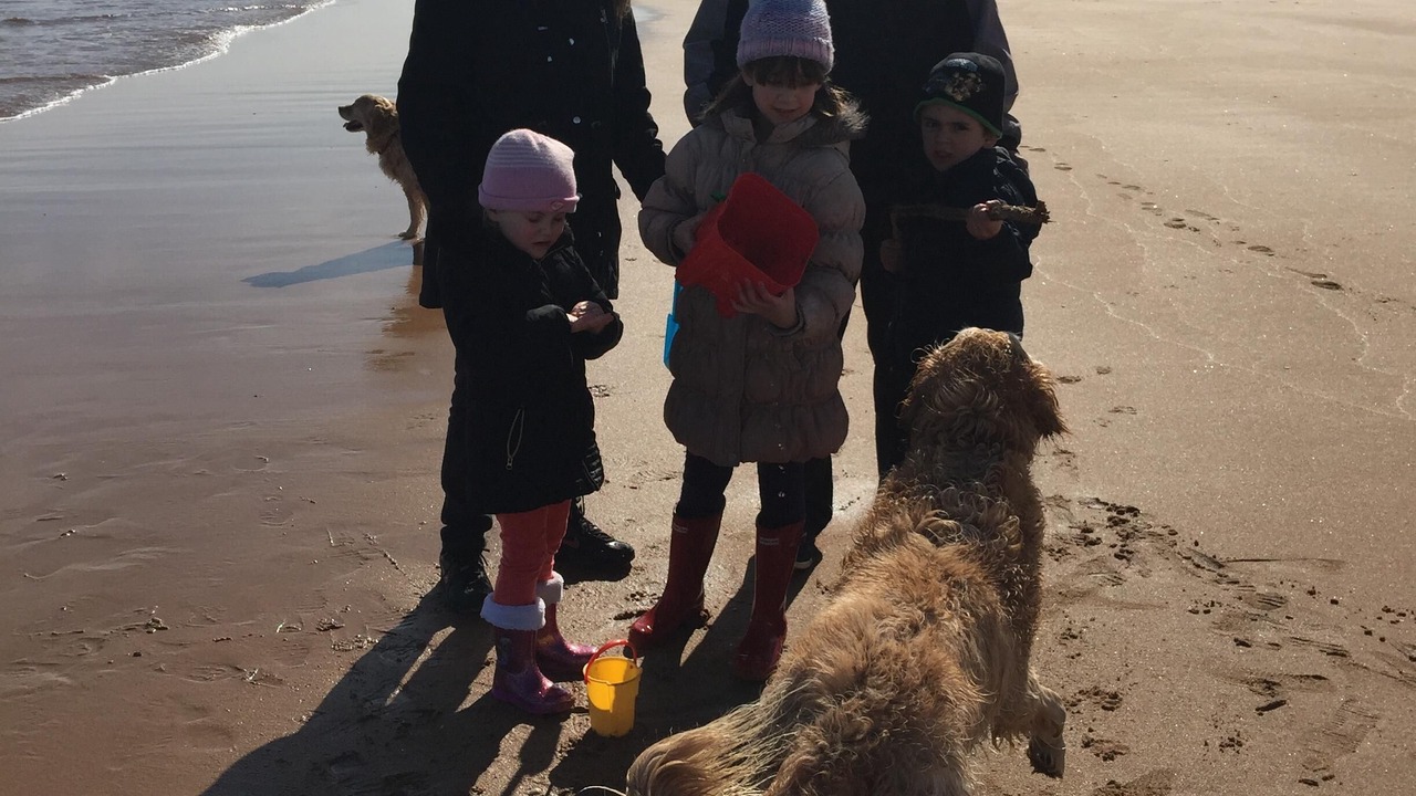 Photo of Others in Brora