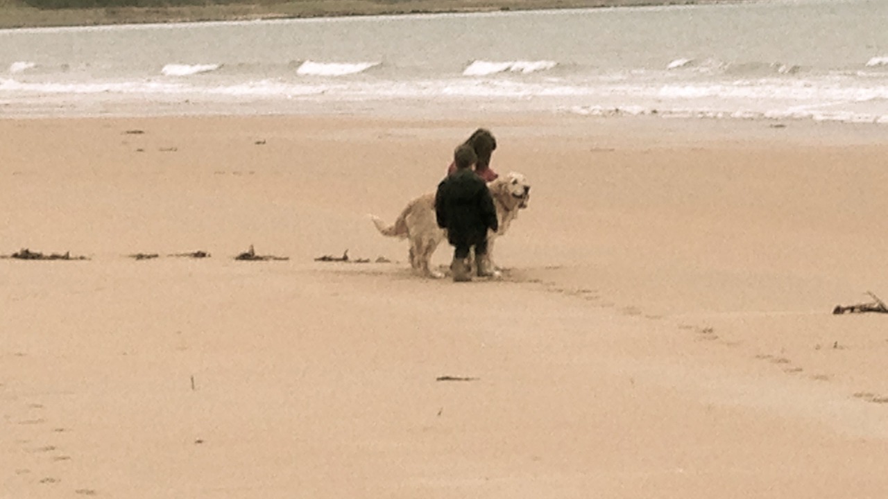 Photo of Others in Brora