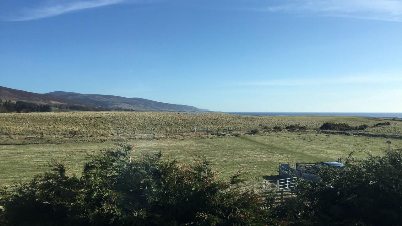Photo of Others in Brora