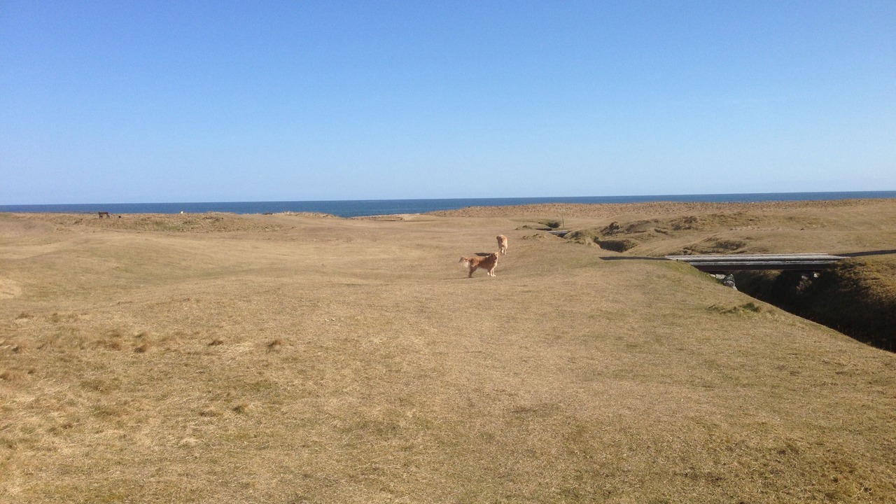 Photo of Others in Brora