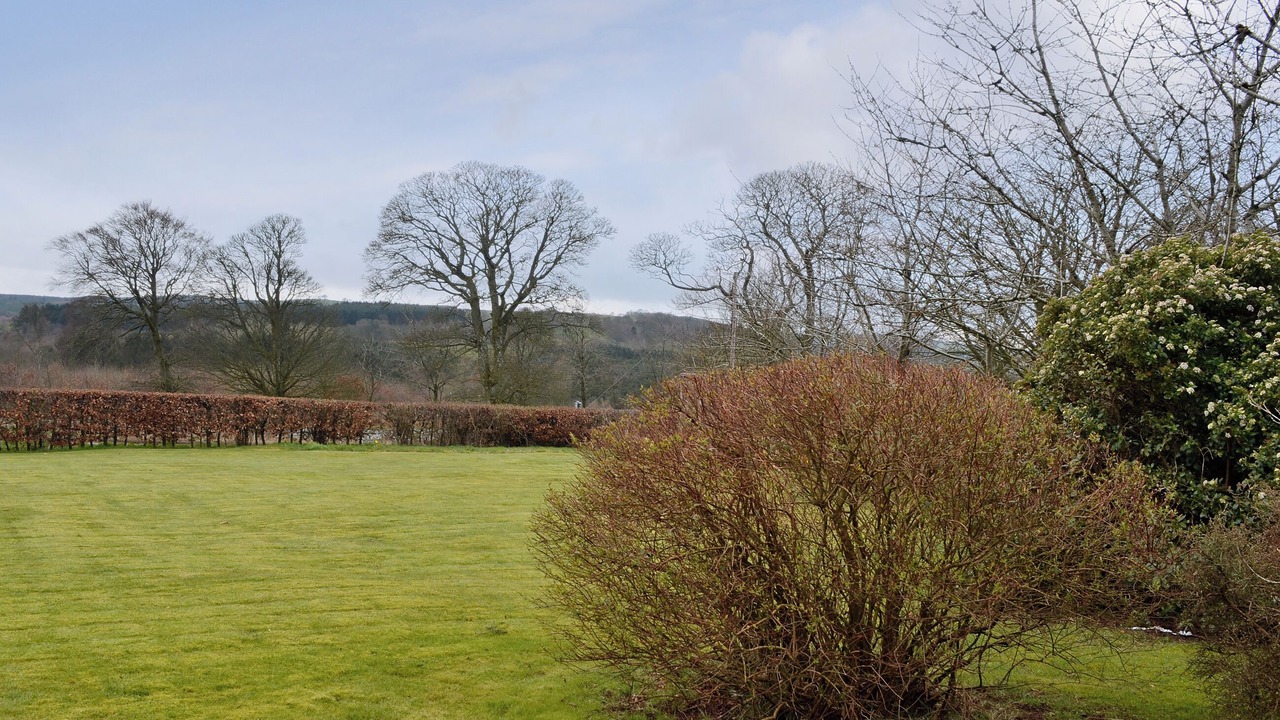 Photo of Others in Laurencekirk