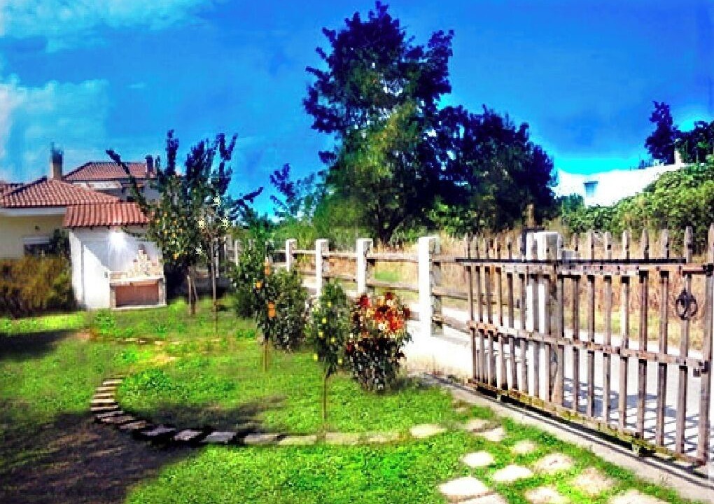 Photo of Outdoor in Tempi