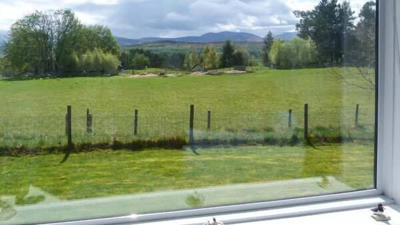 Photo of Others in Newtonmore