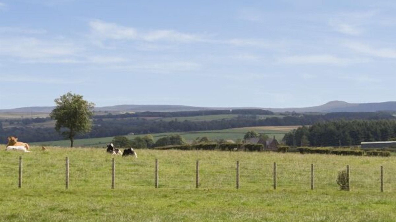 Photo of Others in Annan