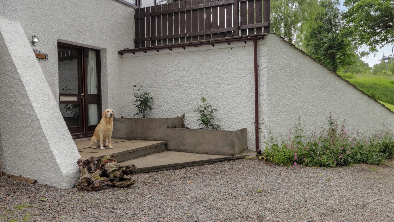 Photo of Outdoor in Kingussie