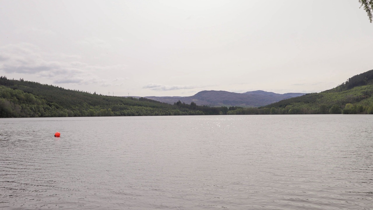 Photo of Others in Contin